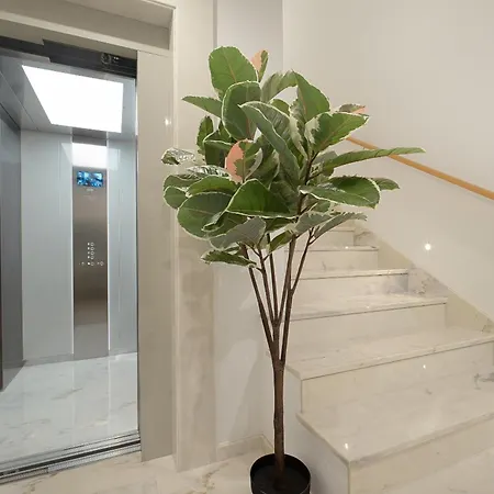 Apartment Safira 202